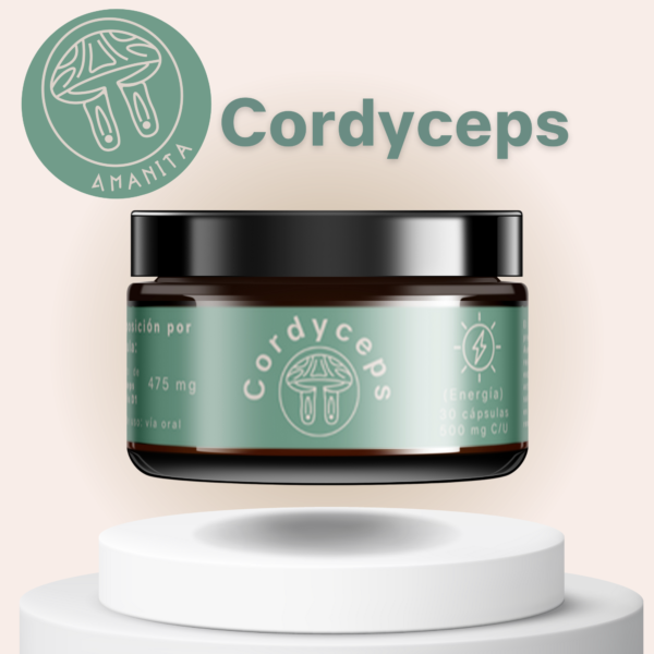 Cordyceps